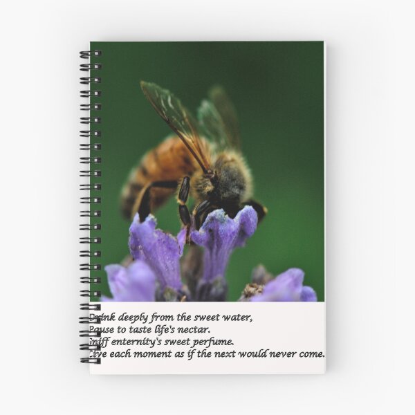 Artikelvorschau, Bee Joyful Every Day entworfen und verkauft von J. D. Adsit.