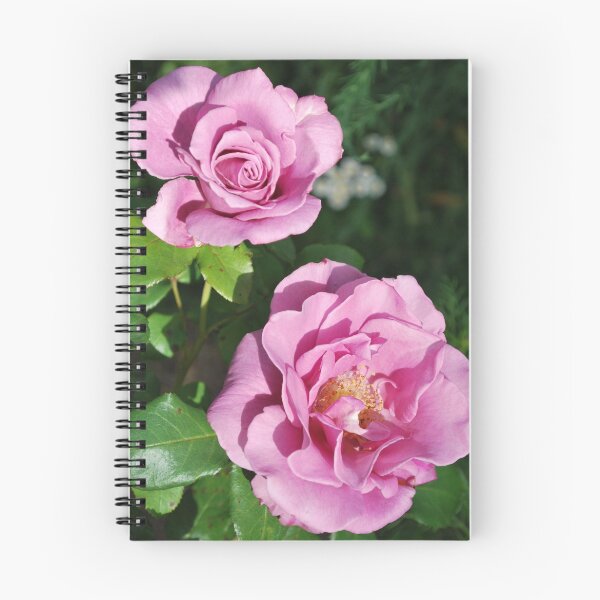 Item preview, Rosa "Moonshadow" designed and sold by Julie Sherlock.