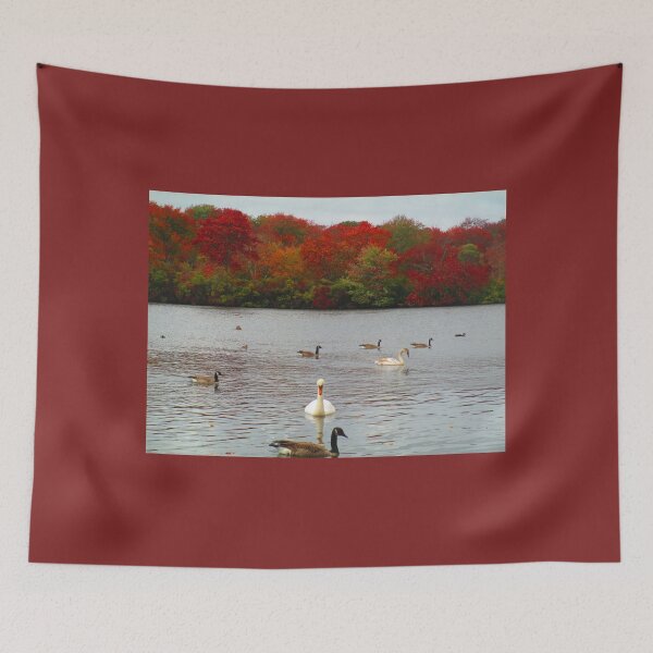 Item preview, Swan of Avalon designed and sold by NorthOfSunrise.