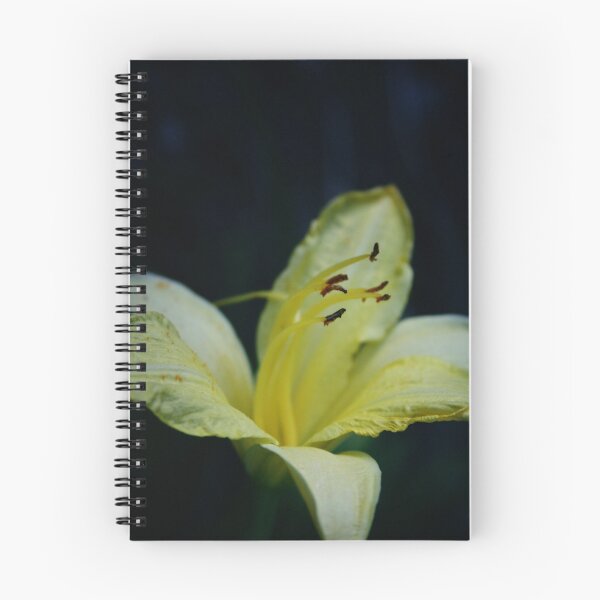 Item preview.
