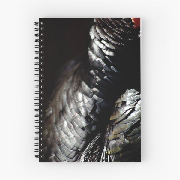 Item preview, Turkey Feathers designed and sold by Tamara  Kenneally.