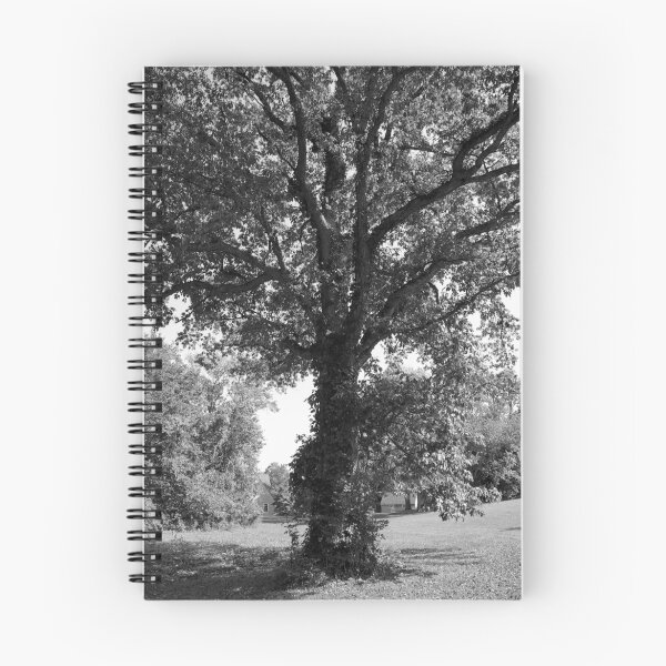 Item preview, Tall Tree designed and sold by rdshaw.