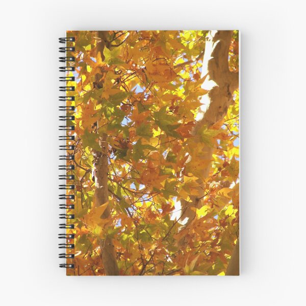 Item preview, Ramsey Canyon Arizona - Fall abundance designed and sold by Kimberly Miller.