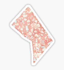 Washington DC Sticker