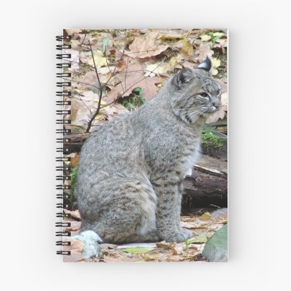 Item preview, Bobcat designed and sold by tkrosevear.