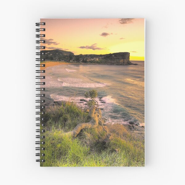 Item preview, Survivor - Avalon Beach - The HDR Experience designed and sold by Salieri1627.