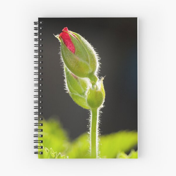 Item preview, Tall Poppy designed and sold by Craig Goldsmith.