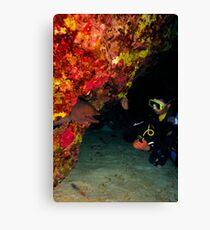 A giant moray greeting a diver in a cave Canvas Print