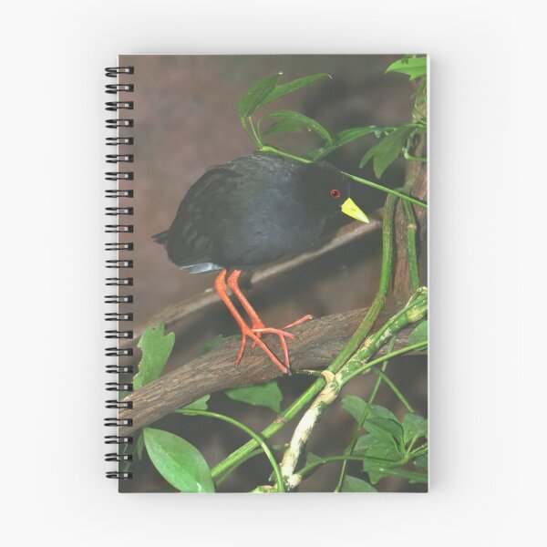 Item preview, Black Crake I designed and sold by Lisa Putman.