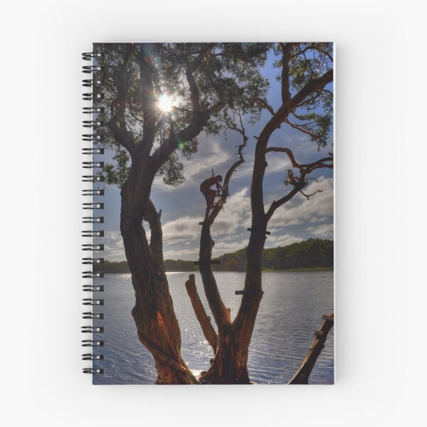 Item preview, Rope Swing - Lake Ainsworth, Lennox Head, Australia. designed and sold by Leigh Nelson.
