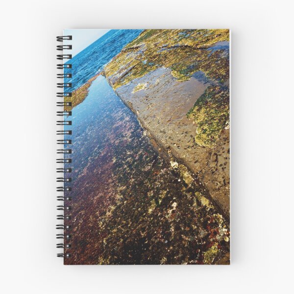 Item preview, Rock Pool IV designed and sold by Roger Barnes.