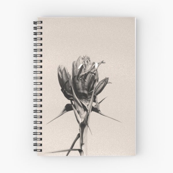 Artikelvorschau, Antique Gymea lily Doryanthes excelsa  entworfen und verkauft von Maximus.