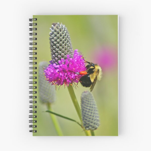 Item preview, Pollinator designed and sold by Bill Morgenstern.