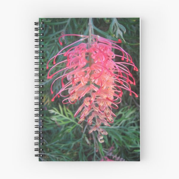 Item preview, Grevillea designed and sold by janewiebenga.