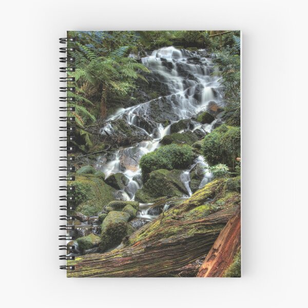 Item preview, Cora Lynne Falls HDRi designed and sold by Tony Lin.