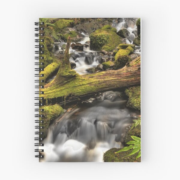 Artikelvorschau, Cora Lynne Falls HDRi Change of Perspective entworfen und verkauft von Tony Lin.