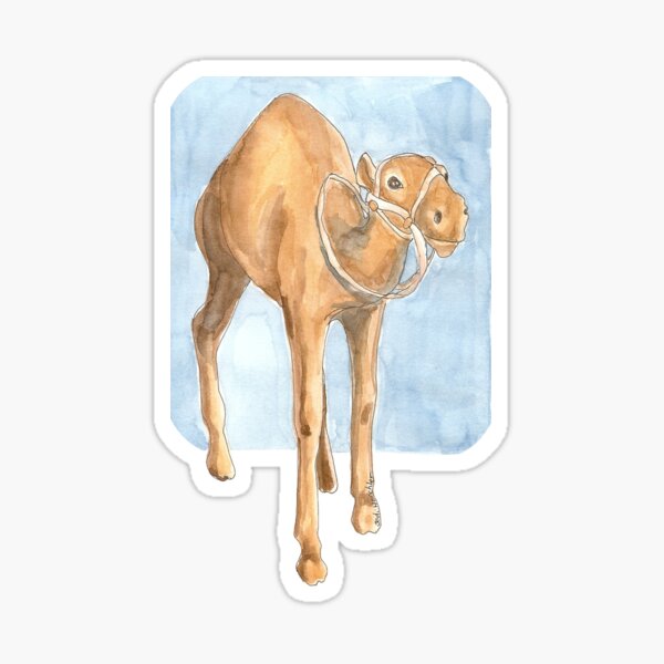 Sweet Dromedary Sticker
