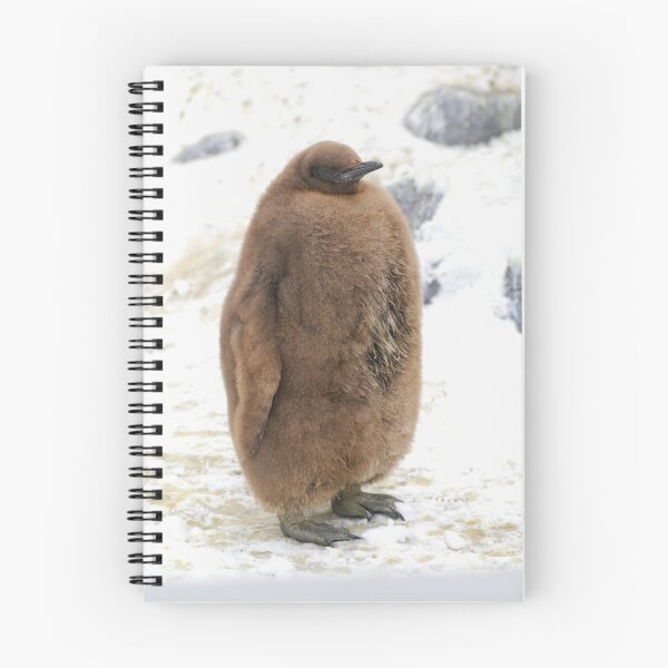 Item preview, The King Penguin Chick designed and sold by Aneurysm.