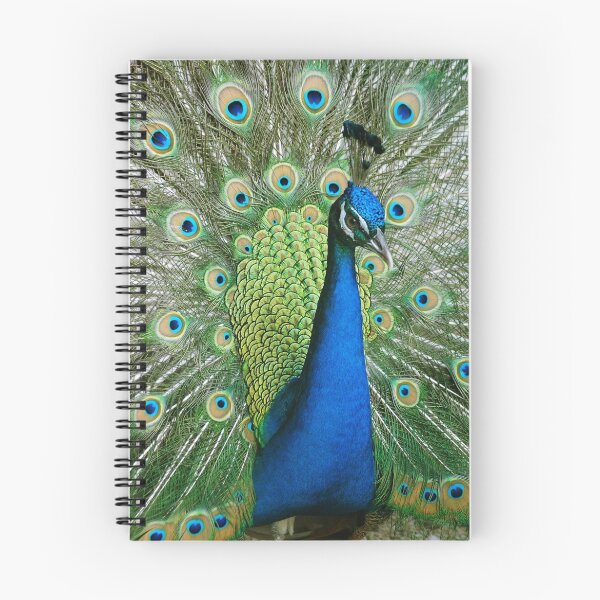 Item preview, PEACOCK designed and sold by mc27.