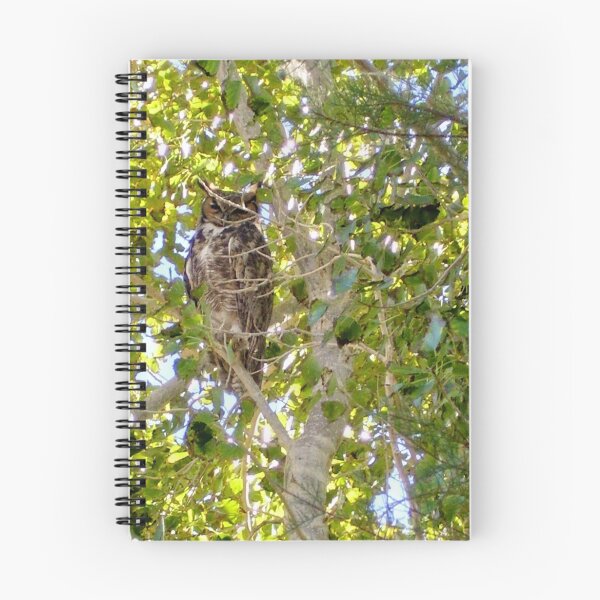 Item preview, Where's Owldo? designed and sold by Aaron Taggert.
