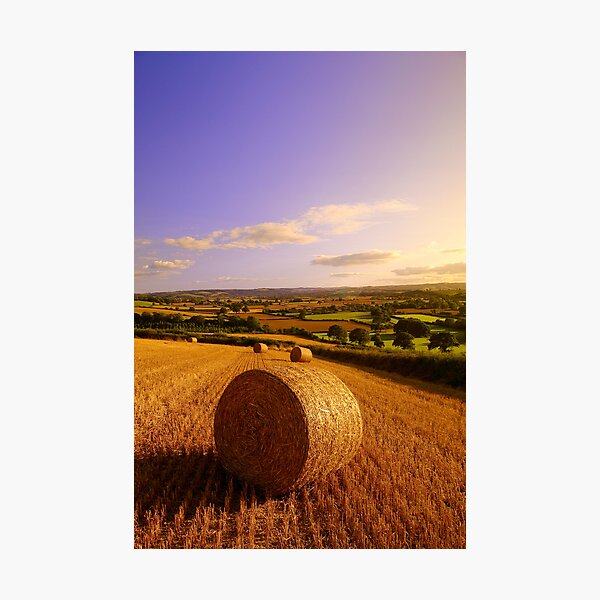 Artikelvorschau, Haybales at Sunset entworfen und verkauft von Neil Buchan-Grant.