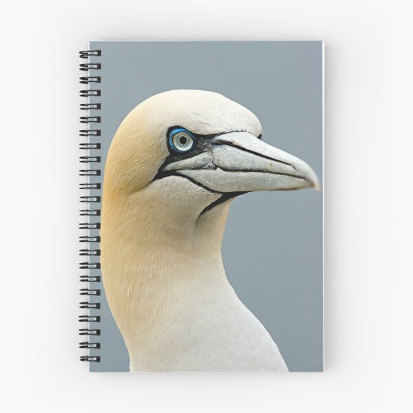 Item preview, Atlantic Gannet designed and sold by Stuart Robertson Reynolds.