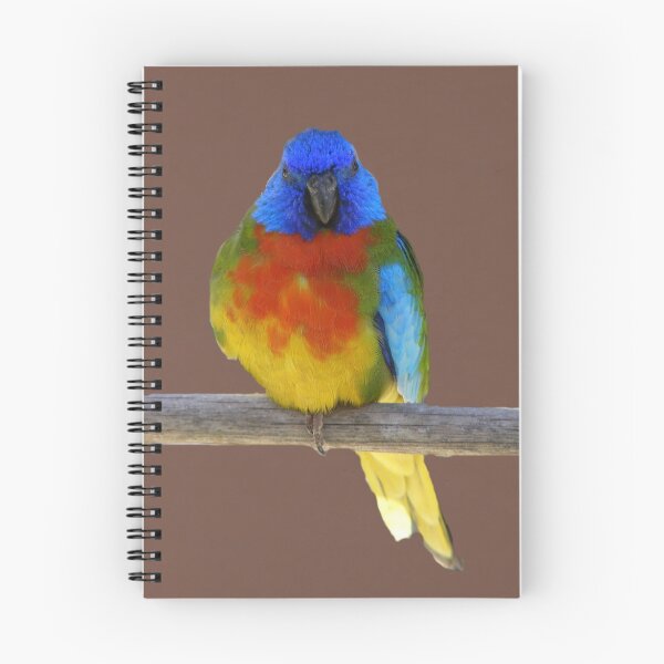 Item preview, Scarlet Chested Parrot designed and sold by Trainman.