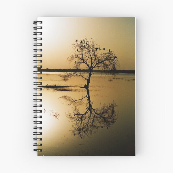 Aperçu de l'œuvre Serene Reflection créée et vendue par Biren Brahmbhatt.