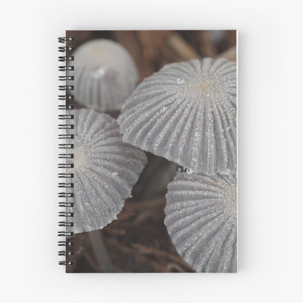 Item preview, mini mushrooms designed and sold by BigAndRed.