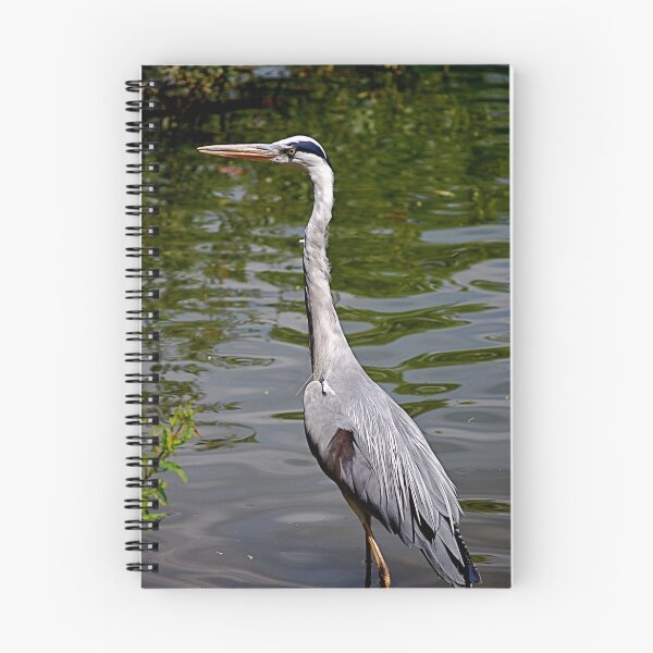Artikelvorschau, Grey Heron- Czapla siwa entworfen und verkauft von GOSIA GRZYBEK.