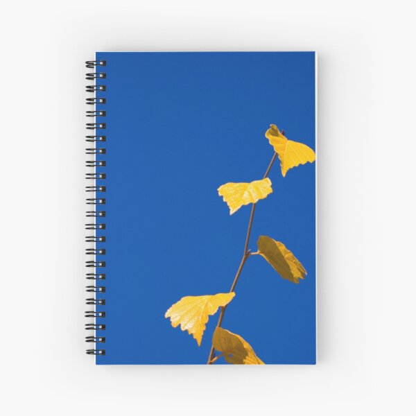 Fall Leaves Spiral Notebook