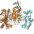 #Enzyme #Informatics, #EnzymeInformatics, #particle #chemistry #medicine #biology #science #biochemistry #shape #chemical #illustration #acid #connection #design #symbol #molecular #insect #horizontal by znamenski