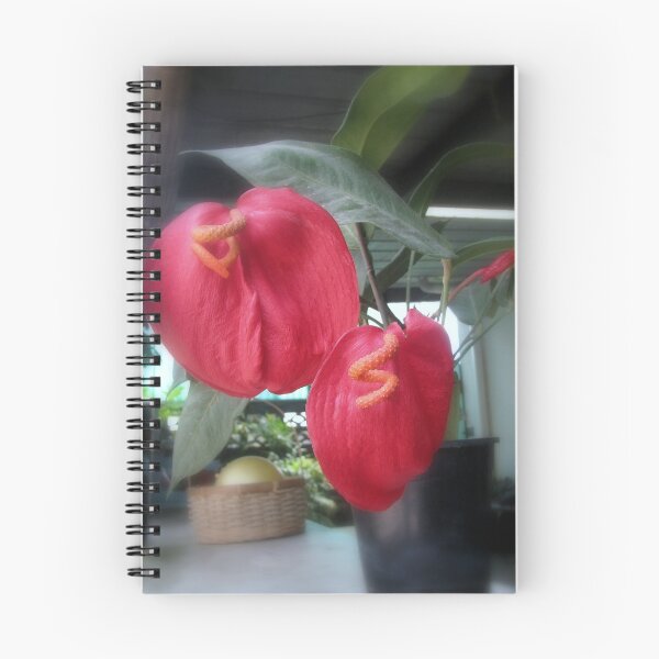Item preview, Flamingo Plant designed and sold by Robert Jenner.