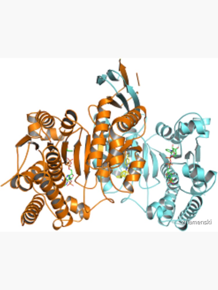 #Enzyme #Informatics, #EnzymeInformatics, particle #chemistry medicine biology science biochemistry shape chemical by znamenski