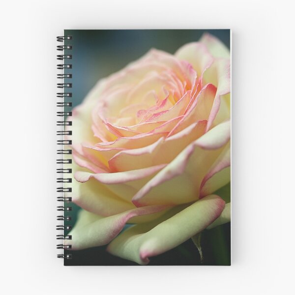 Item preview, A Delicate Touch designed and sold by cdwork.