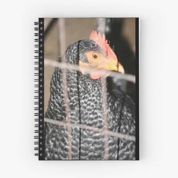 Item preview, Farm Chicken designed and sold by Fern Design.