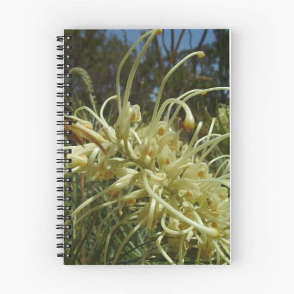 Item preview, Creamy Grevillea designed and sold by Skyhorse.