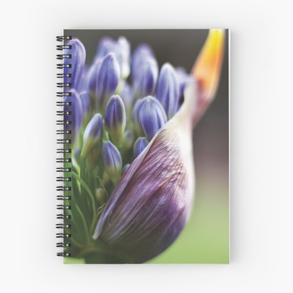 Item preview, Agapanthus Bloom - Macro designed and sold by JimFilmer.