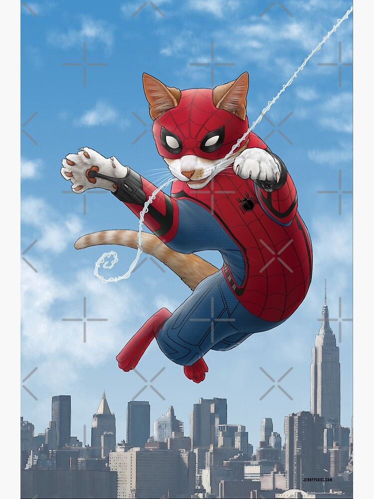 Spider-Cat by jennyparks