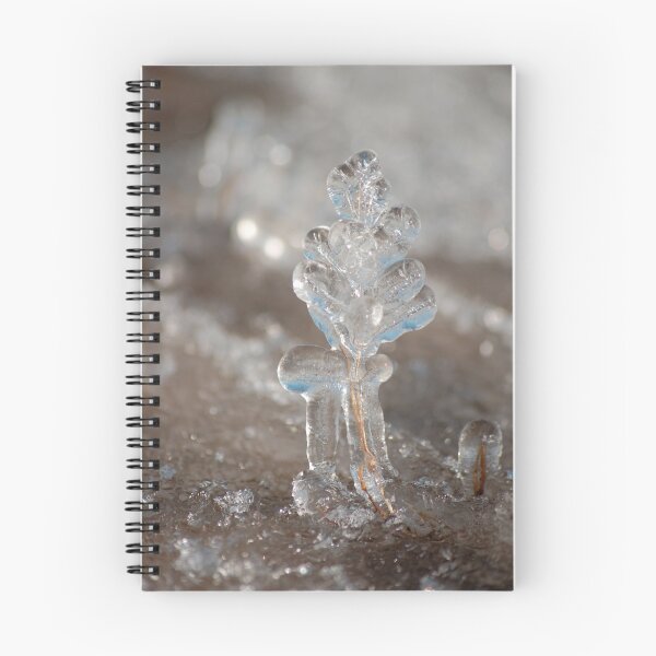 Item preview, found in the field designed and sold by Roslyn Lunetta.