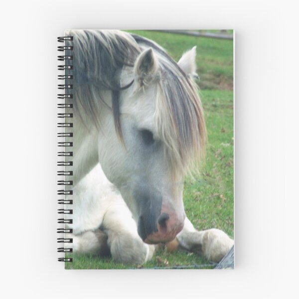 Item preview, Blind Pony designed and sold by Coloursofnature.