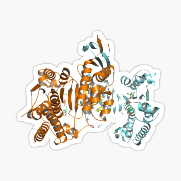 #Enzyme #Informatics, #EnzymeInformatics, #particle #chemistry #medicine #biology #science #biochemistry #shape #chemical #illustration #acid #connection #design #symbol #molecular #insect #horizontal Sticker