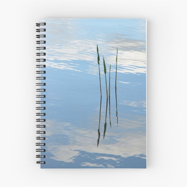 Item preview, A Little Reflection designed and sold by Clare McClelland.
