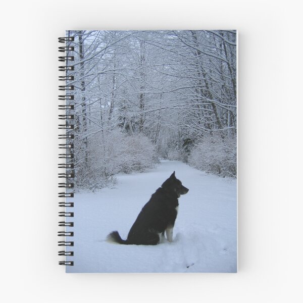 Artikelvorschau, A Husky in her element. entworfen und verkauft von Nina Toulmin.
