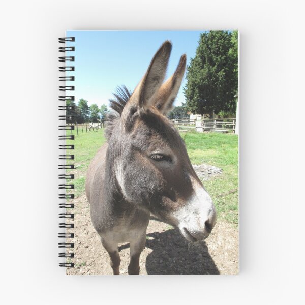 Item preview, Donna Donkey designed and sold by Skyhorse.