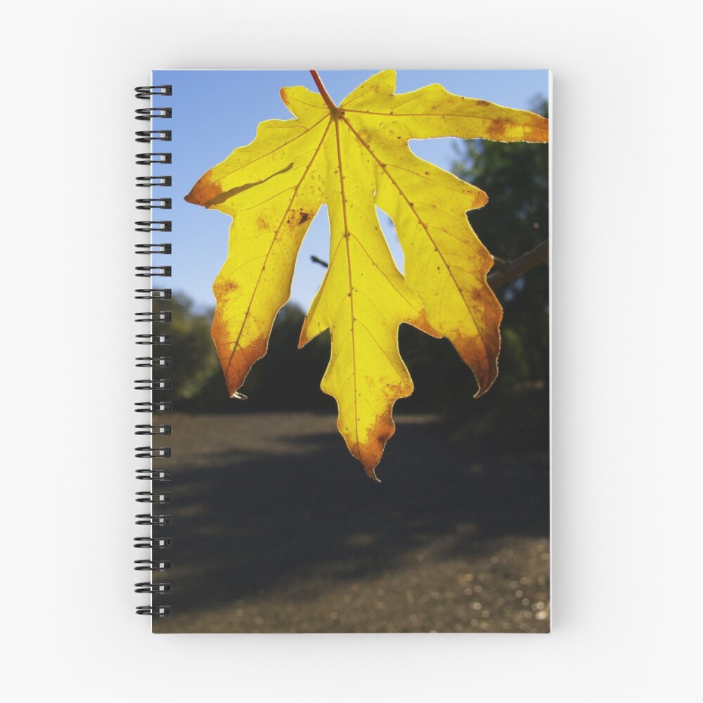 Item preview, Spiral Notebook designed and sold by aaronarroy.