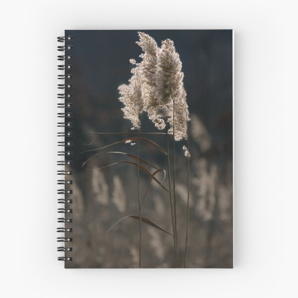 Item preview, Winter Foliage designed and sold by Margaret Barry.