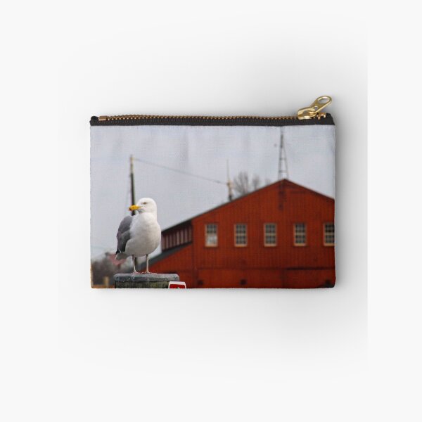 Item preview, Mystic, CT: Seagull Keeping Watch designed and sold by ACImaging.