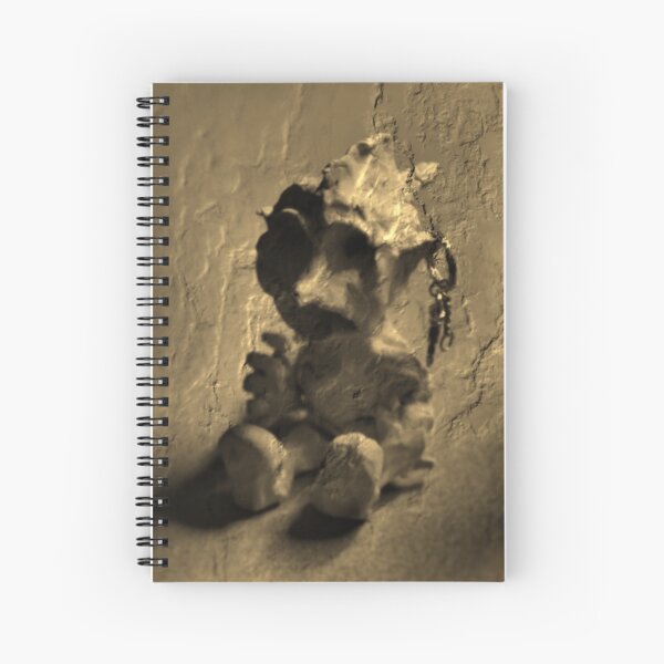 Golem Moderna Spiral Notebook