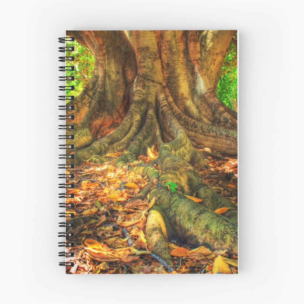 Item preview, Spiral Notebook designed and sold by Claire Farley.